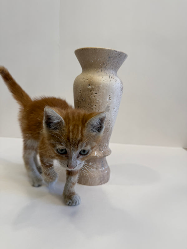 Travertine Fluted Vase — handmade natural marble & stone décor by Moonlit Marble